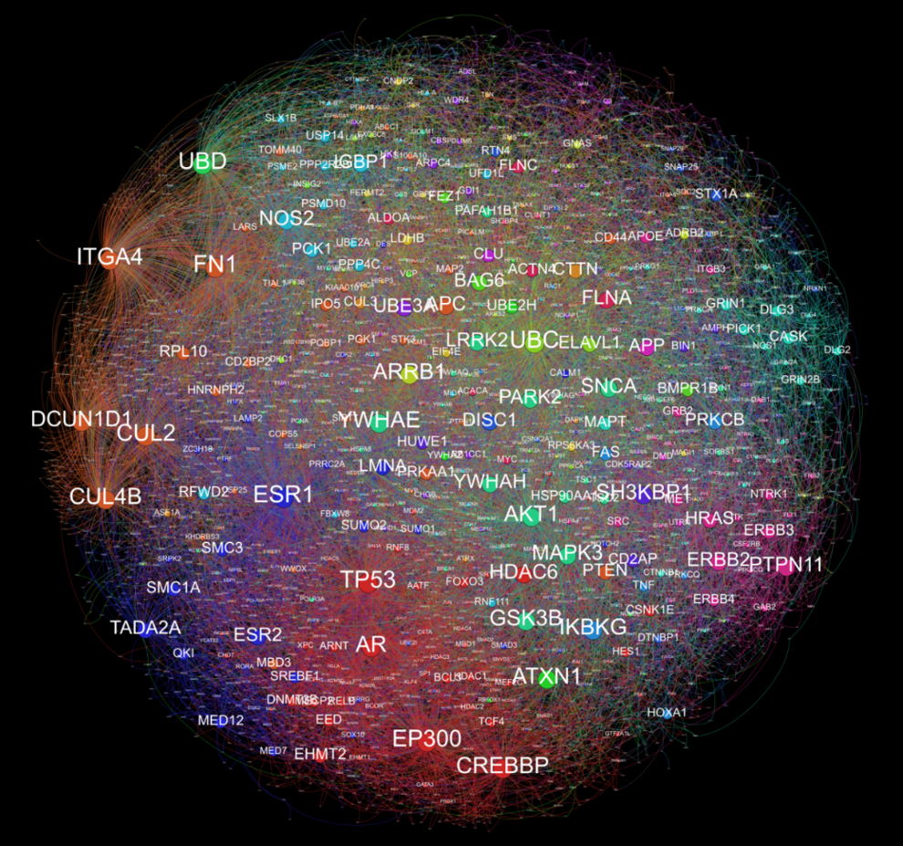 Protein–protein interaction network